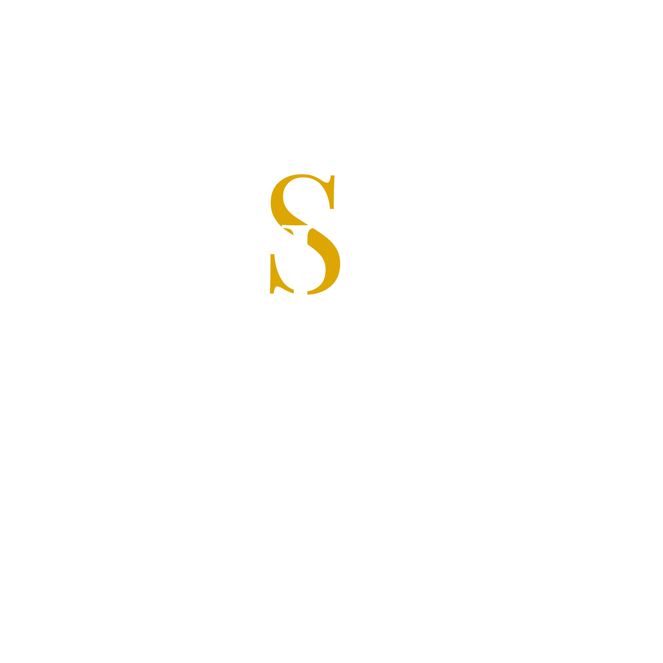 DAVIDE SALMERI Logo